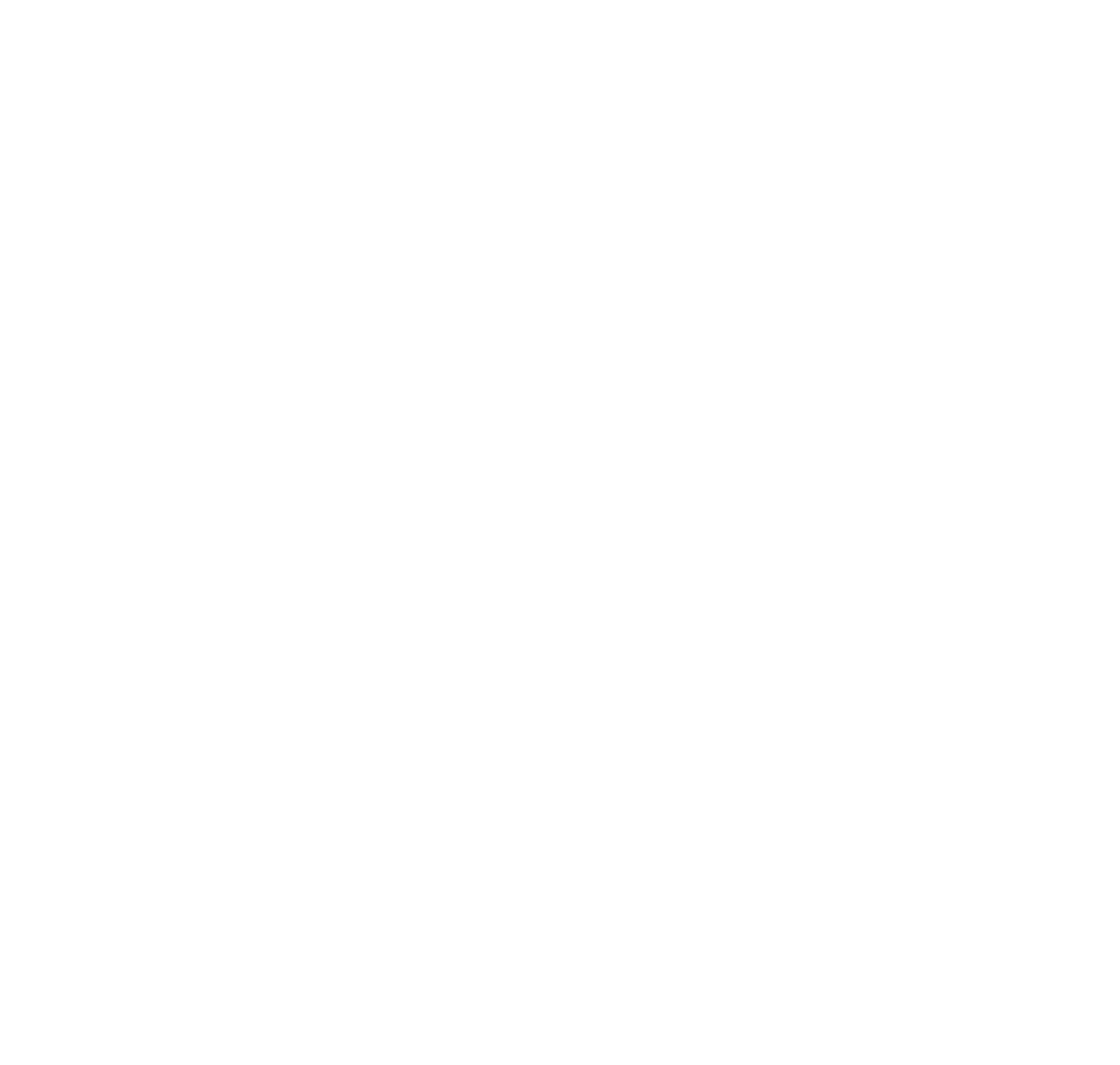 Logo Nova D
